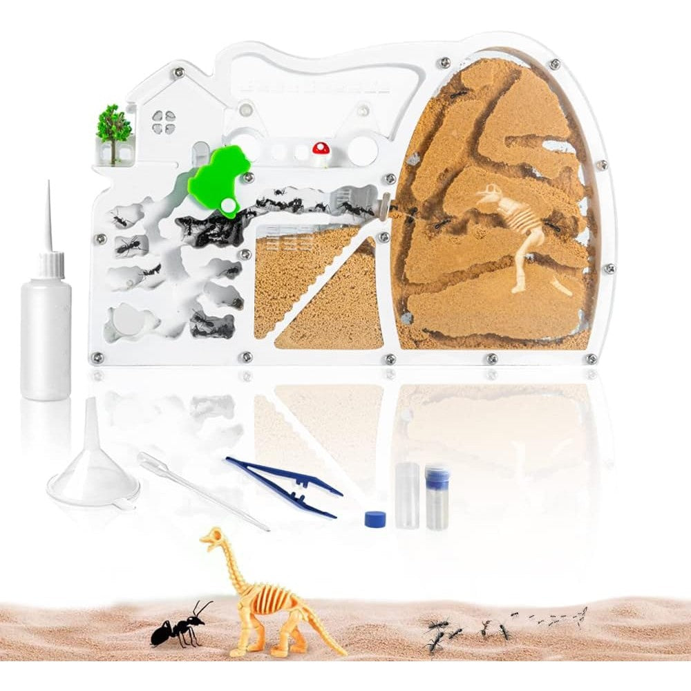 ELNMLHT ant farm castle front view transparent educational science kit