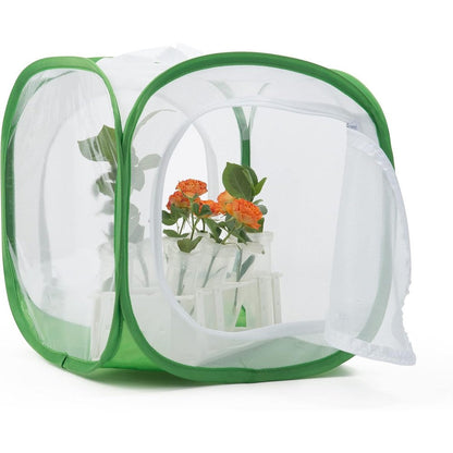 RESTCLOUD Monarch Butterfly Habitat front view of the pop up mesh insect cage for caterpillar rearing.
