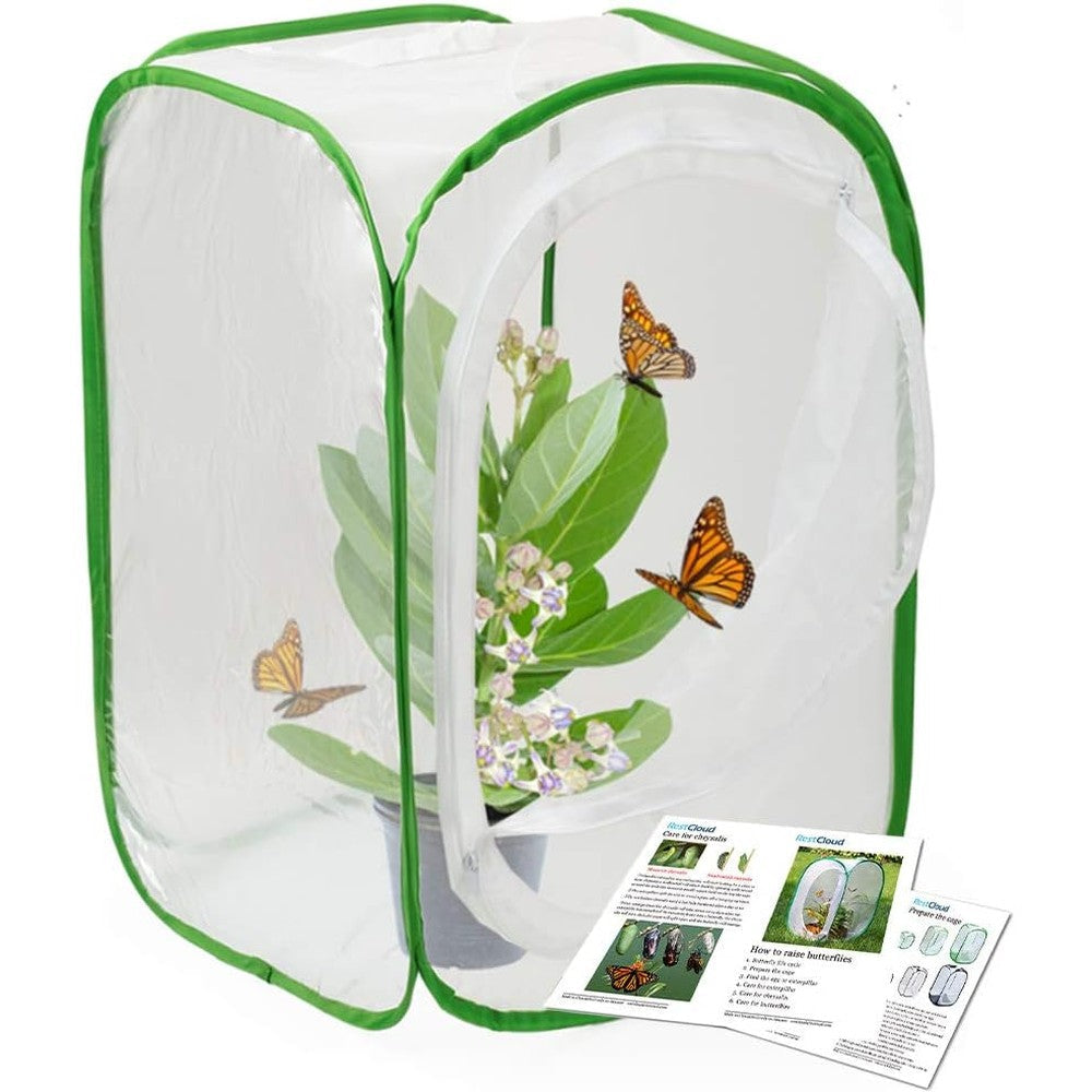 RESTCLOUD insect and butterfly habitat cage front view showing the green and white mesh structure