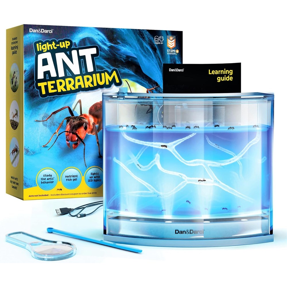 Dan&Darci Light Up Ant Farm Terrarium Kit front view showing illuminated blue gel habitat