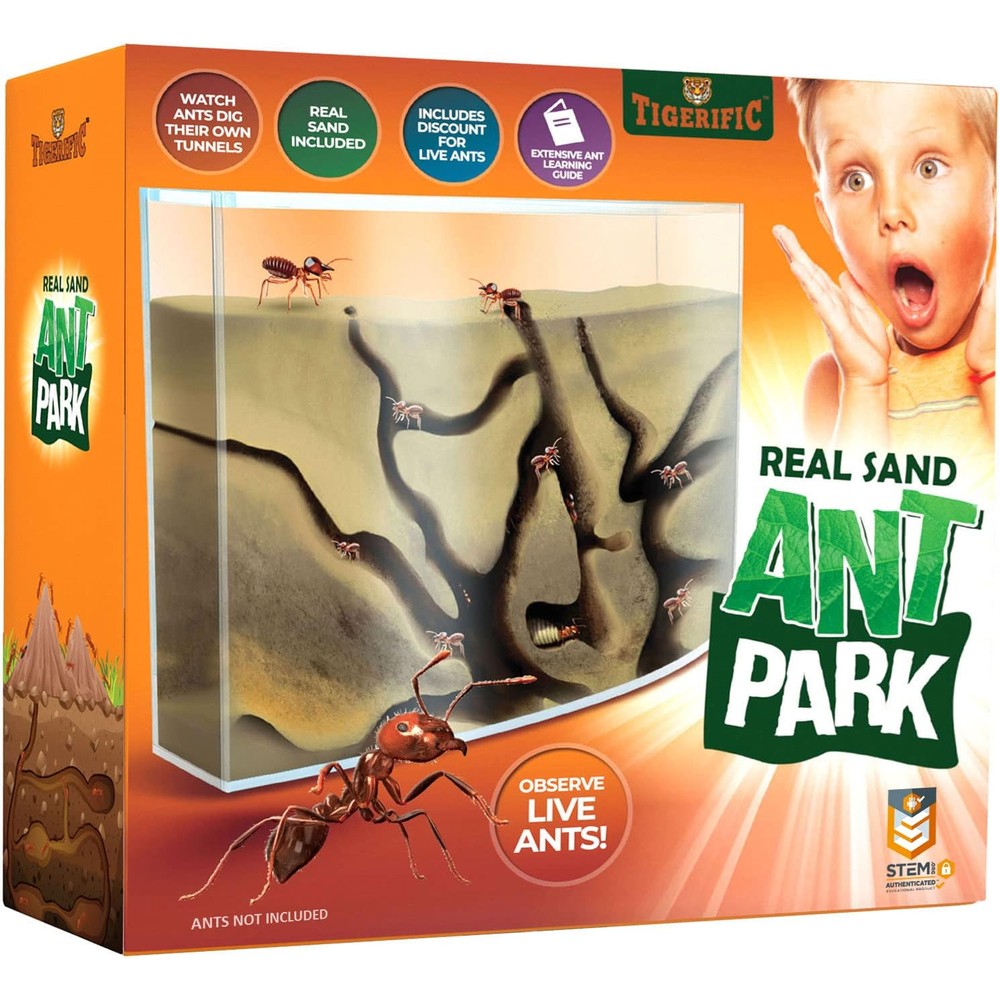 Tigerific ant farm for live ants front view of transparent science kit with sand