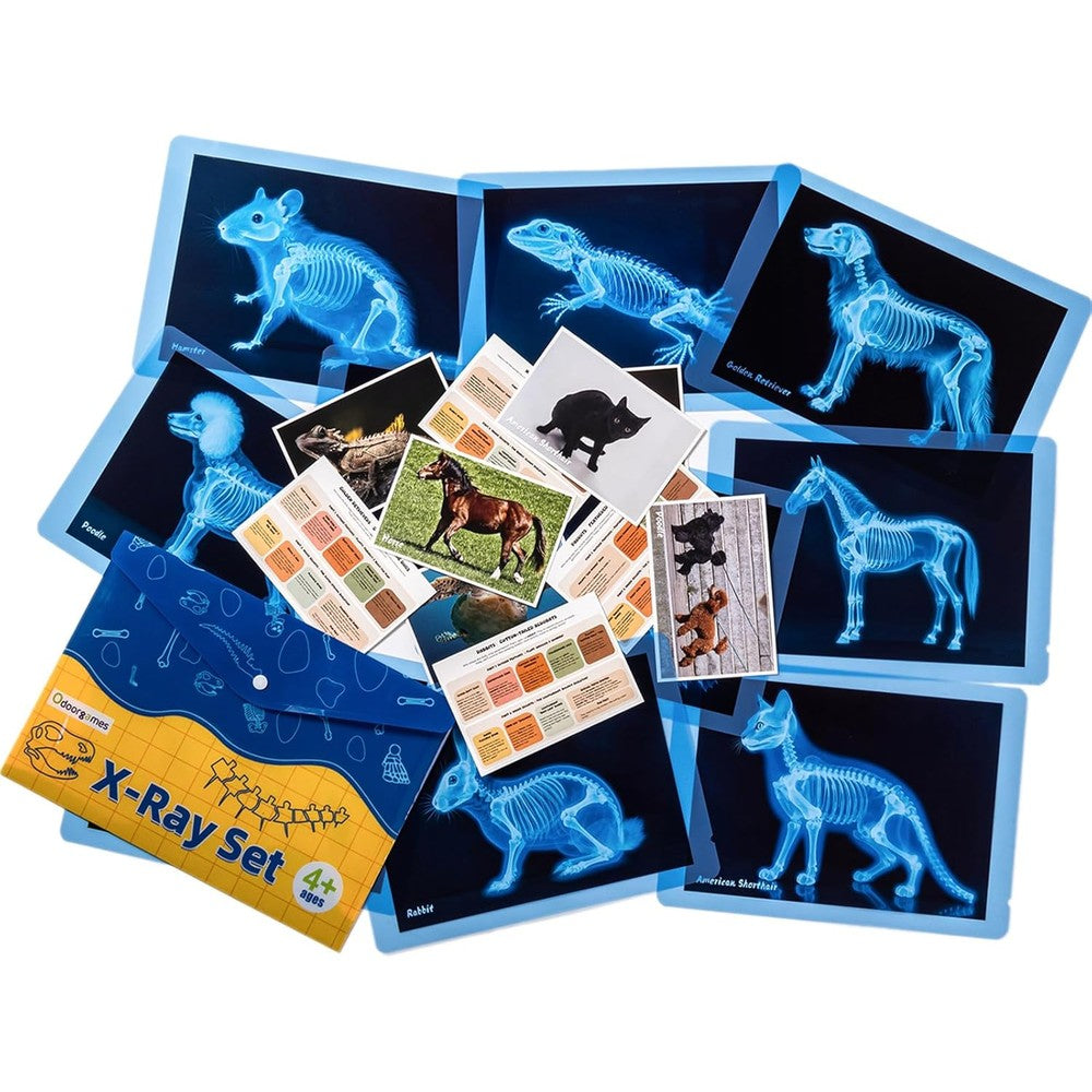 Odoorgames animal x-rays for kids educational science kit front view showing clear plastic films and matching pet cards