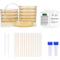 DalosDream Bacteria Science Kit front packaging view with prepoured agar plates and sterile swabs