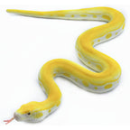 SIENON realistic fake snake toy front view showcasing yellow and white python markings.