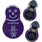 CricketPrank cricket noise maker prank front view showing the purple miniature electronic circuit board device