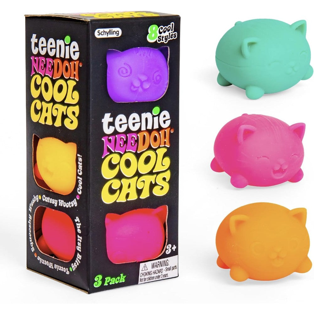 Schylling NeeDoh Teenie Cool Cat sensory squeeze toy front view packaging
