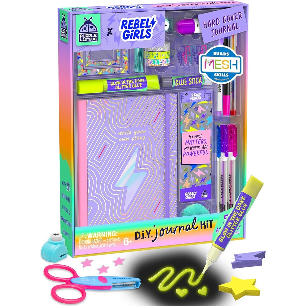 Purple Ladybug Rebel Girls DIY Journal Kit front view packaging