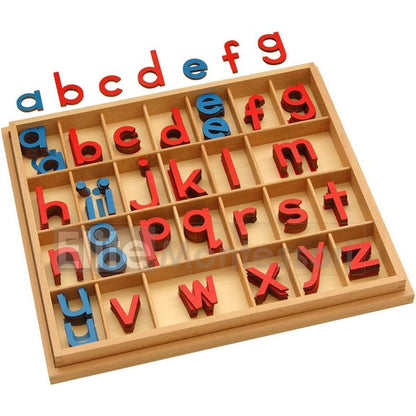 Elite Montessori Wooden Movable Alphabet with Box front view of color-coded spelling letters.