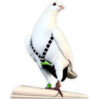 Flyper Adjustable Mini Bird Diaper Black Parade front view