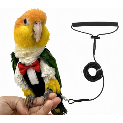 Magnoloran Bird Diaper Harness Tuxedo Flight Suit With Eighty Inch Flying Leash Reusable Parrot Nappy Waterproof Inner Layer Black Small