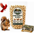 Forest Haven raw peanuts for squirrels front view