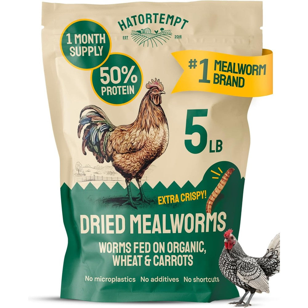 Hatortempt Bulk Dried Mealworms 5 Pound Bag High Protein Feed For Chickens Ducks And Wild Birds Non-GMO And Organic Dried Insects