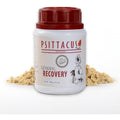Psittacus General Recovery bird hand feeding formula bottle front view for sick parrots