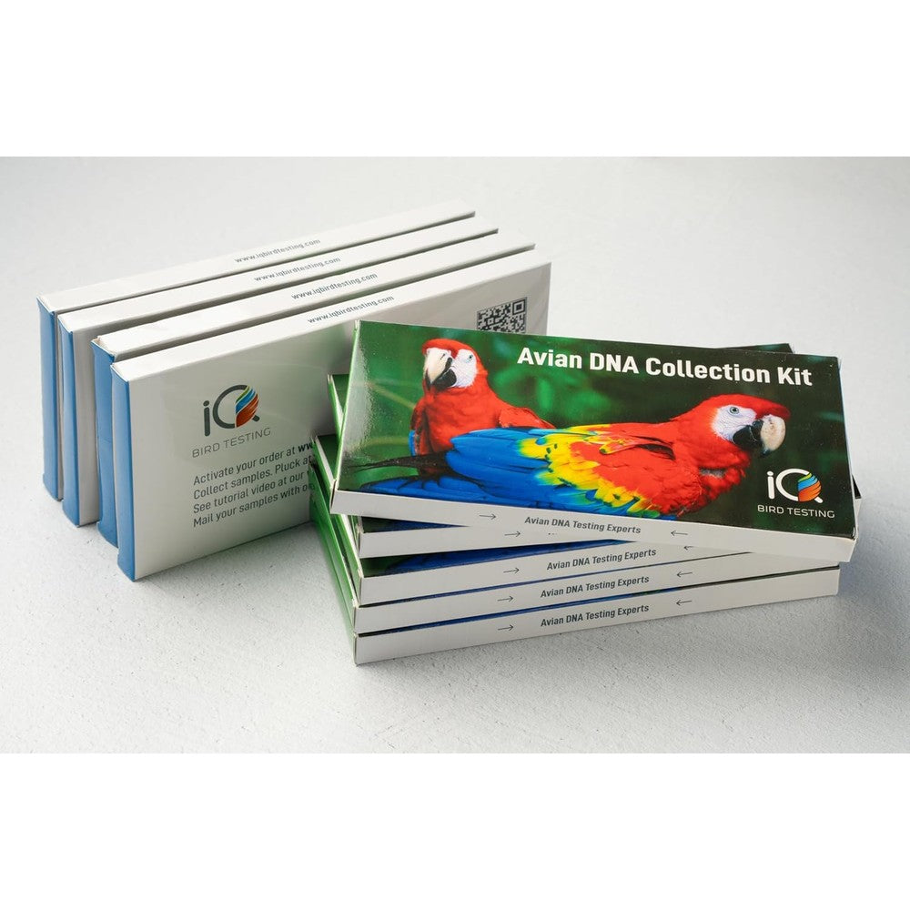 IQ Bird Testing Avian DNA Gender Test Kit front view with packaging and collection tools.