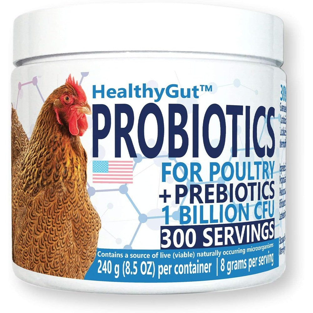 Equa Holistics HealthyGut Probiotics For Chickens And Poultry All Natural Digestive System Dietary Supplement Powder Twenty Four Hundred Grams Thir...