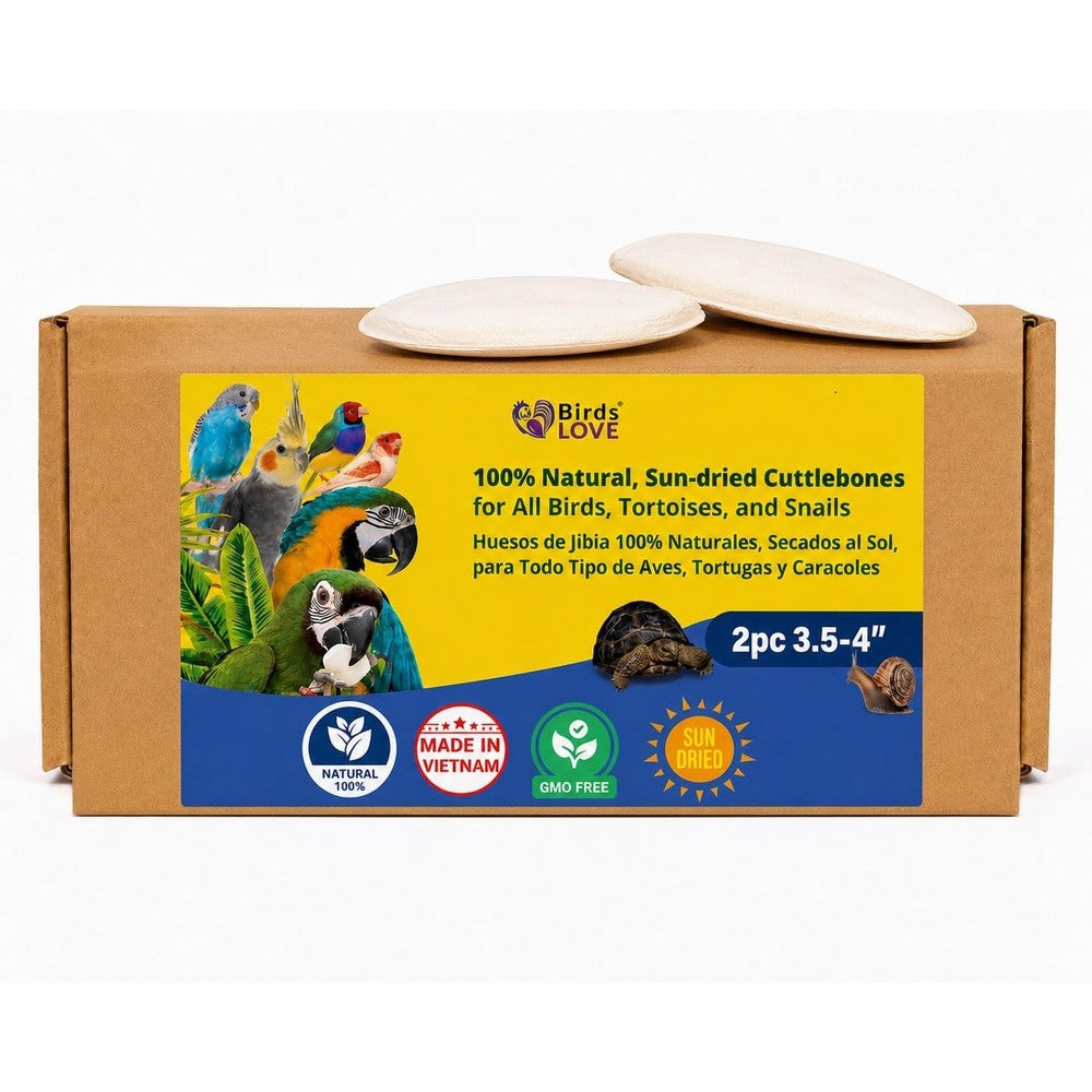 Birds LOVE natural sun dried cuttlebone 2 pack with cage holder