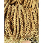 Tinyfield Millet Spray For Birds front view package