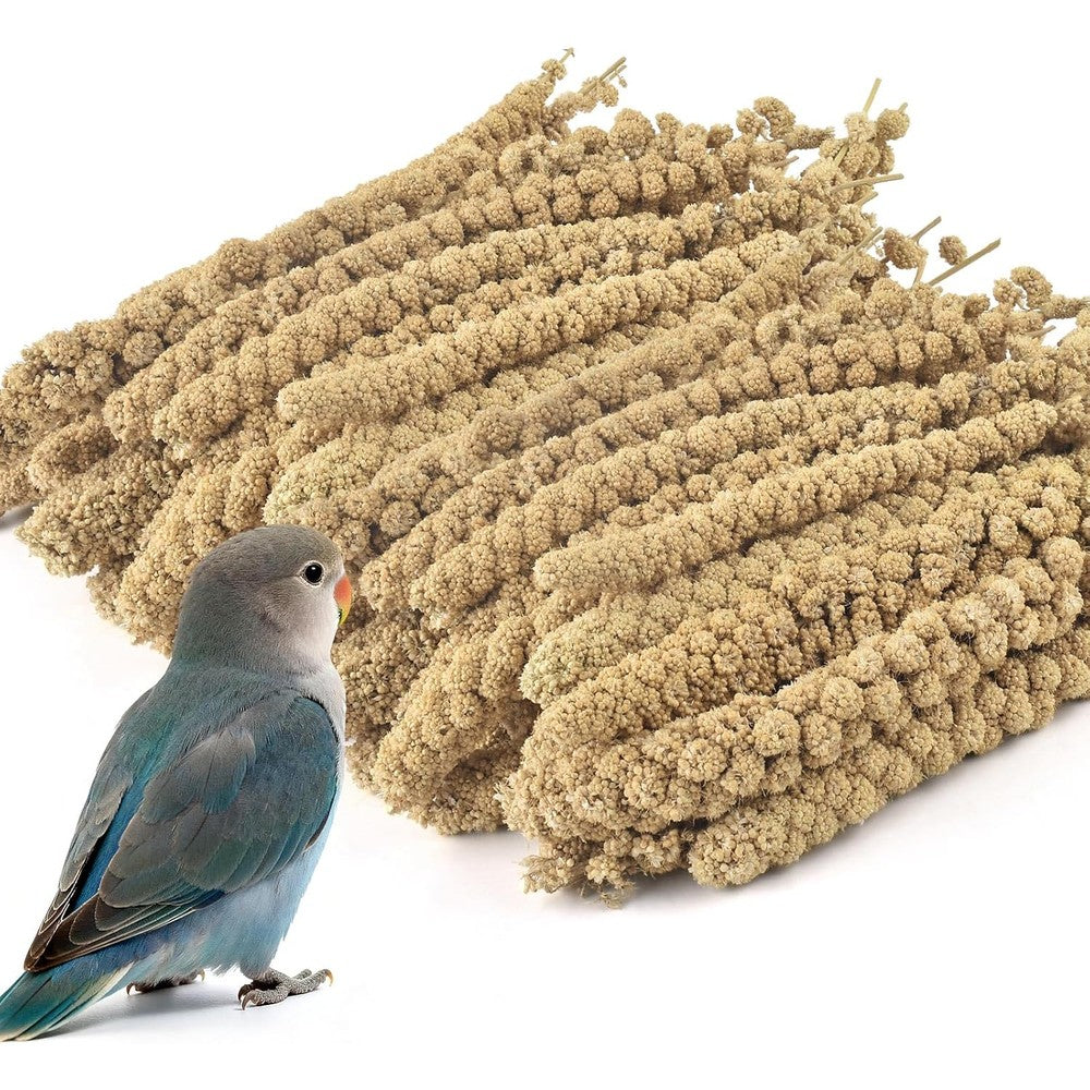 Erkoon 2.5 Pound Spray Millet Treat All Natural Sun Dried Healthy Bird Snack For Parakeets Lovebirds Cockatiels Finches And Budgies