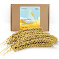 Bucatstate spray millet for birds front view package