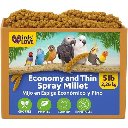 Birds LOVE Economy And Special Spray Millet For Birds 5 Pounds GMO Free Natural Sun Dried Foraging Treat For Cockatiels Lovebirds And Parakeets