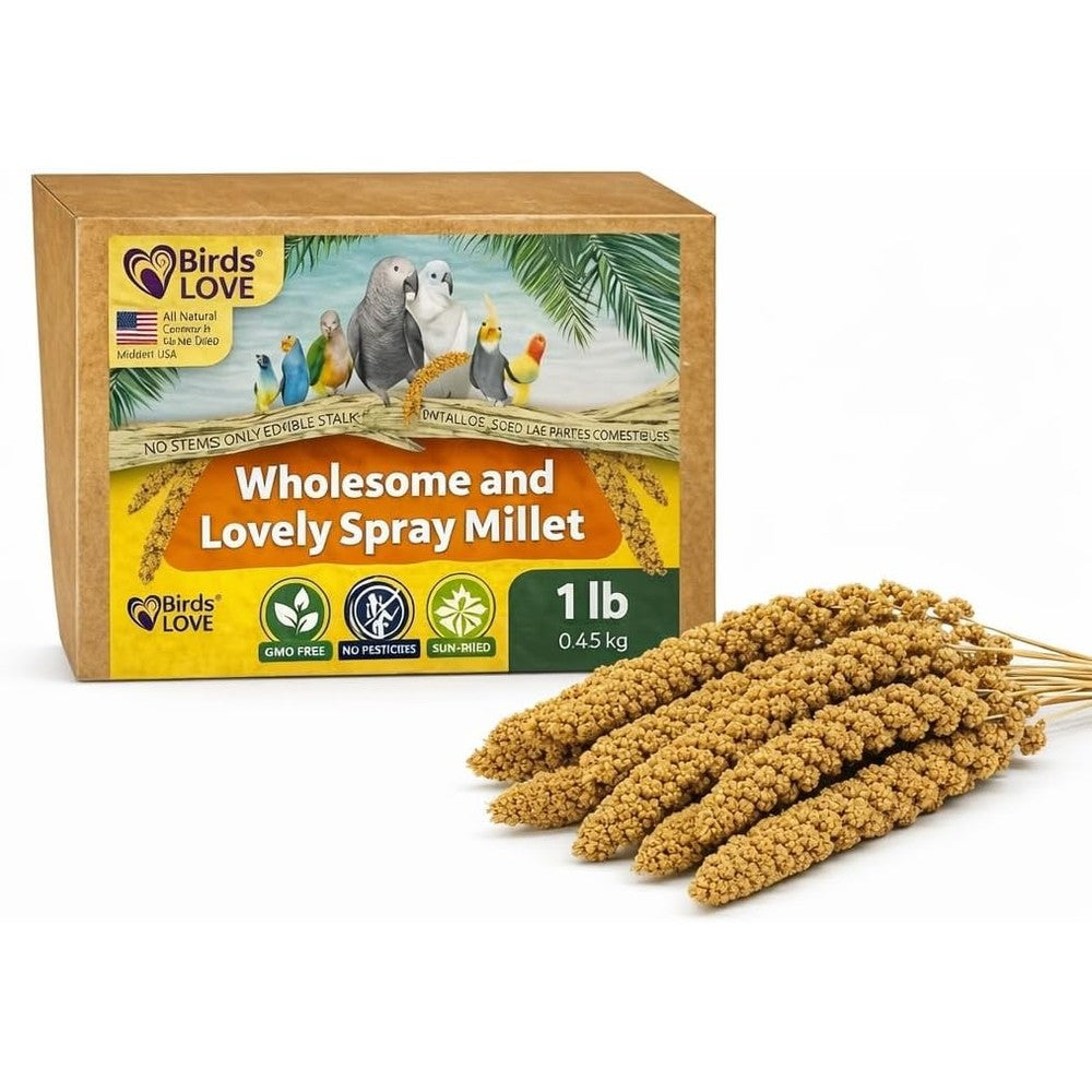 Birds LOVE Wholesome Spray Millet For Birds 1 Pound USA Grown Natural Sun Dried Seed Clusters For Parakeets Budgies Cockatiels And Parrots