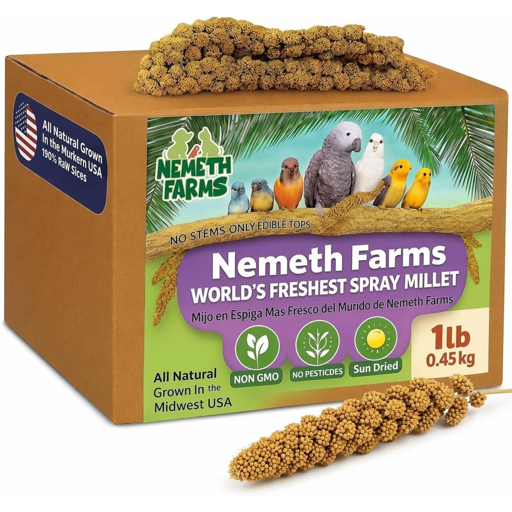 Nemeth Farms Spray Millet Edible Tops Only 1 Pound front view