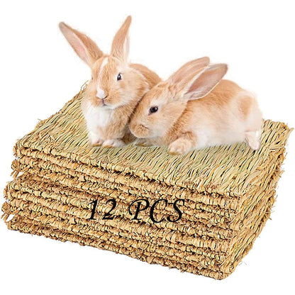 Pinvnby Hay Mats For Rabbits 12 Pack Natural Woven Grass Mats For Small Animal Bedding Resting Sleeping Chewing And Nesting 11.0 x 8.3 Inches
