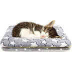 Tierecare 2 Pack Cat Blanket For Indoor Cats Ultra Soft Fleece Pet Mat For Anxiety Relief And Warm Winter Sleeping Flannel Kitten Bedding 18.5 X 13...