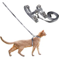 Pidan cat harness and leash set front view in grey color