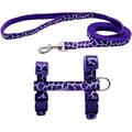 Litvibes adjustable walking harness and leash set in purple front view