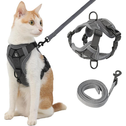 Kodervo cat harness and leash front view set