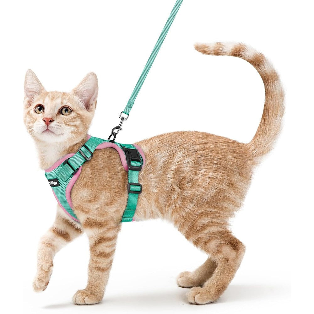 Rabbitgoo escape proof cat harness and leash set front view