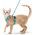 Rabbitgoo escape proof cat harness and leash set front view