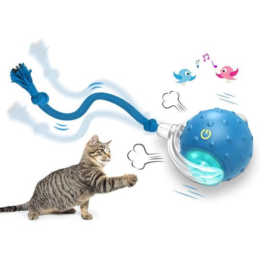 Giociv interactive cat toy ball front view of blue automated pet toy rolling on carpet