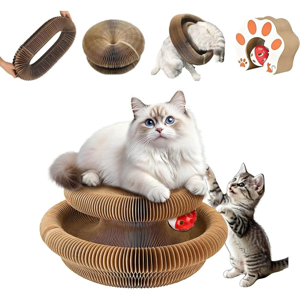 Jogcoys Kitty Curls Magic Organ Cat Toy front view showing the circular donut shape with embedded track.