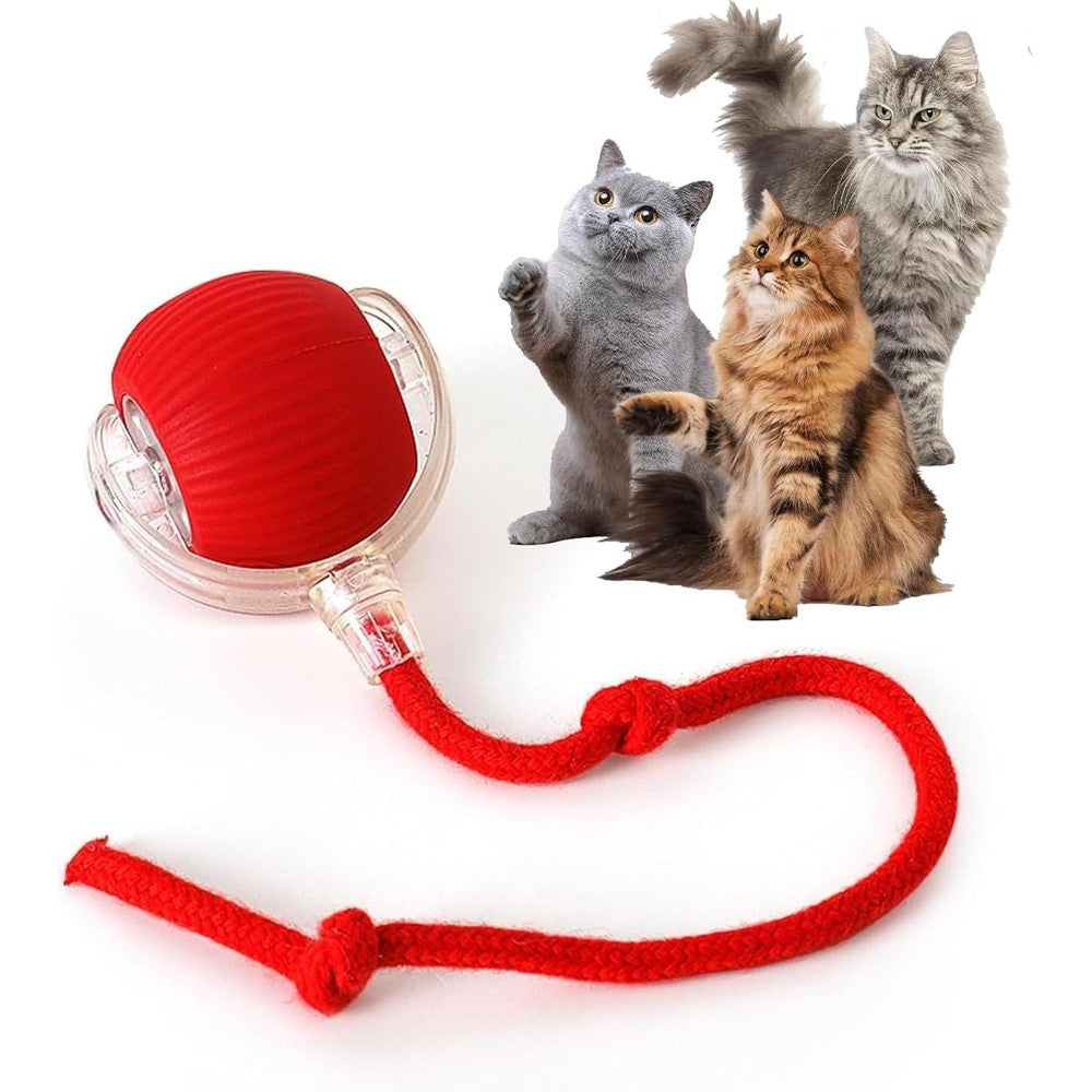 Rocfish smart automatic cat chase ball toy front view interactive pet roller