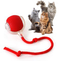 Rocfish smart automatic cat chase ball toy front view interactive pet roller