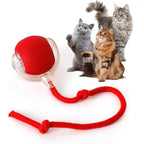 Rocfish smart automatic cat chase ball toy front view interactive pet roller