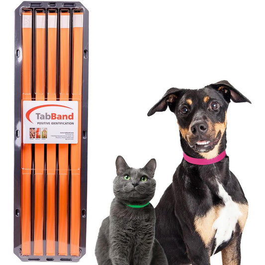 TabBand Max Premium Pet ID Collars Orange Waterproof Writable Tear Resistant Temporary Animal Identification Bands 20 Inch 500 Count