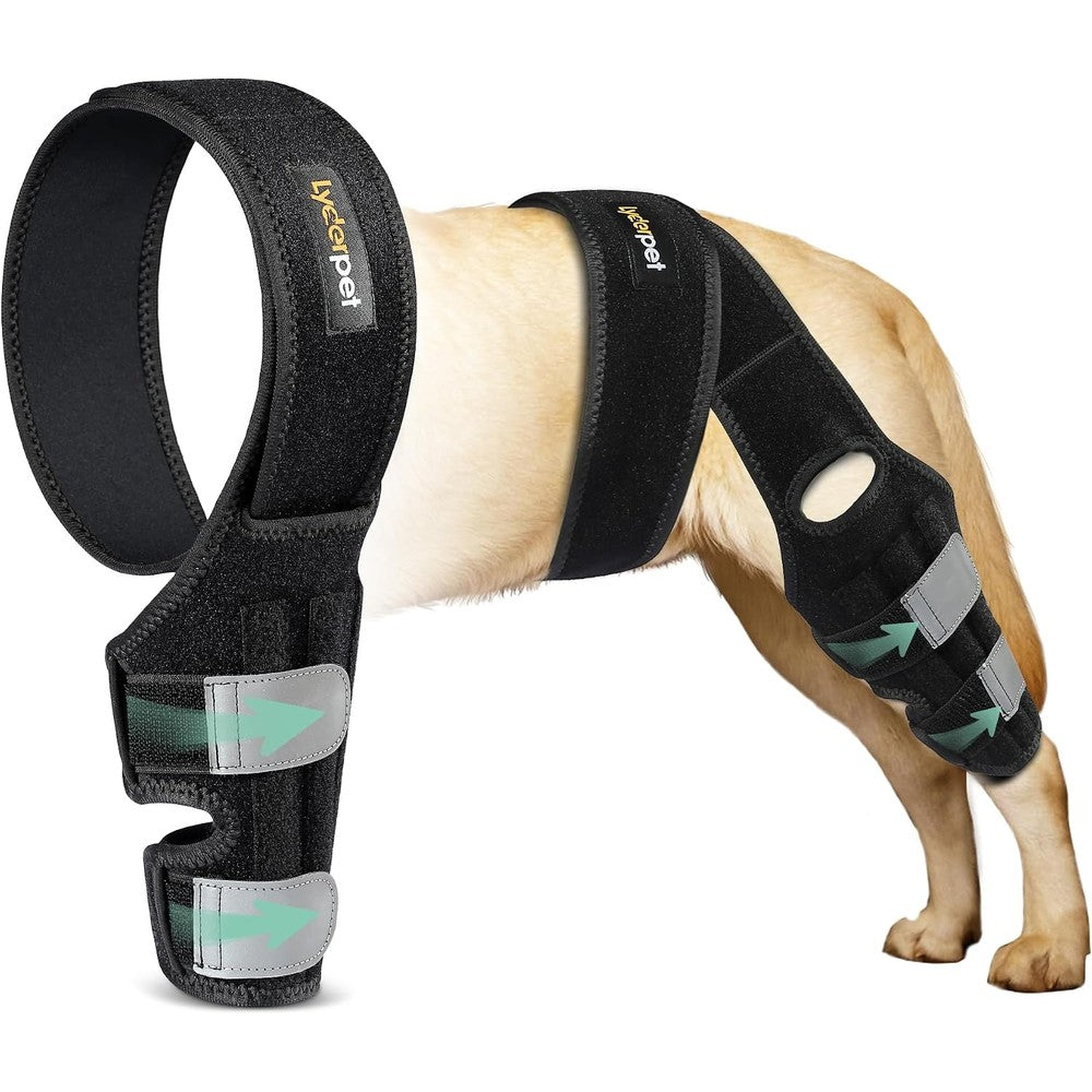 Lyderpet dog knee brace front view with metal stabilizer