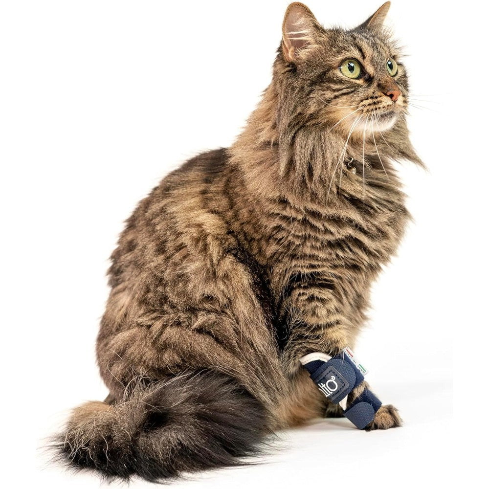 Balto Feline Splint Carpal and Tarsal Brace front view