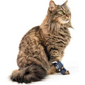 Balto Feline Splint Carpal and Tarsal Brace front view