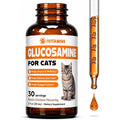 iVitamins Glucosamine for Cats liquid bottle front view