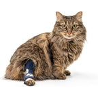 Balto Feline Hock Brace front view showing cat ankle support