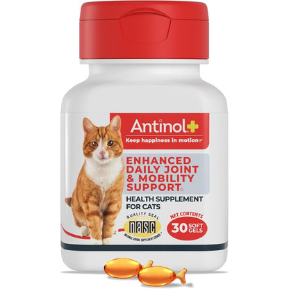 Antinol Plus cat joint supplement bottle front view