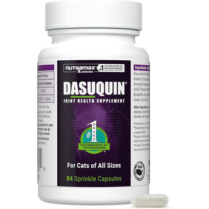 Nutramax Dasuquin joint health capsules for cats front view