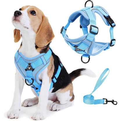 Jolifield No Pull Dog Harness and Leash Set Reflective Adjustable No Choke Pet Vest with Breathable Mesh for Small Dogs and Cats Blue Size Small