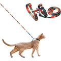 Pidan cat harness and leash set front view displaying multicolor pattern