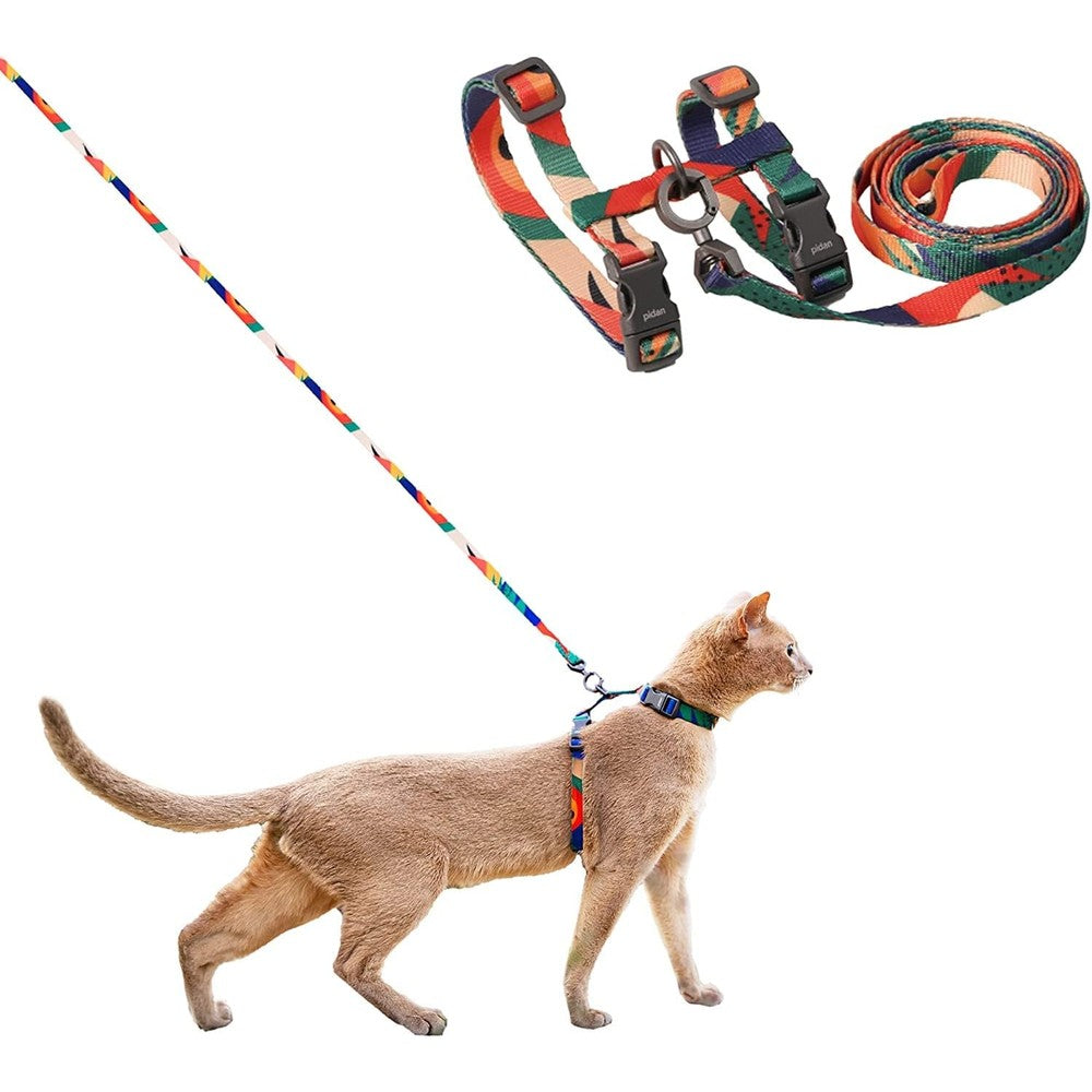 Pidan cat harness and leash set front view displaying multicolor pattern