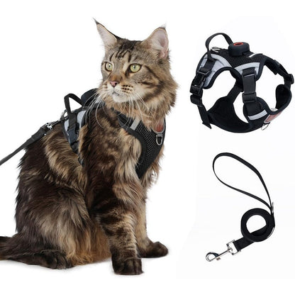 Skmeditec Cat Harness And Leash Set With AirTag Holder Escape Proof Breathable Mesh Reflective Vest Jacket For Large Cats And Small Dogs Black Large